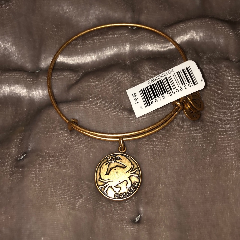 Alex and Ani cancer bracelet